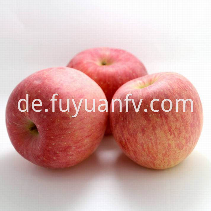 Fuji Apple 29